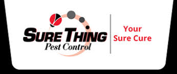 Black diamond is northern kentucky's choice for quality pest control services. 10 Best Pest Control Services In Cincinnati Oh Consumeraffairs