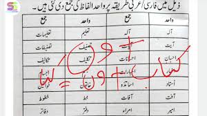 Students can download these worksheets and practice them. Waheed Jama ÙˆØ§Ø­Ø¯ Ø¬Ù…Ø¹ Singular Plural In Urdu For Class 6 To 10 Youtube