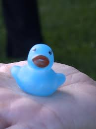 Blue Ducks bring people in to Forty Fort's National Night Out