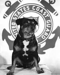 Sinbad - The Dog Behind the Legend | Naval History Magazine – December 2021 Volume 35, Number 6