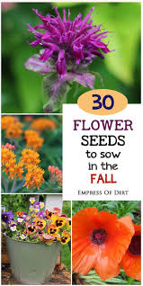 When to sow seeds for fall garden. 30 Flower Seeds To Sow In The Fall Flower Seeds Plants Planting Flowers