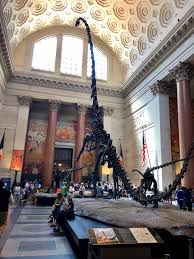 American Museum Of Natural History Ny The T Rex Exhibit