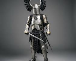 Image result for Knights Armor 2013 GX