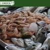 Imagen de la noticia para Pesca de Arrastre Insostenible de EL PAÍS