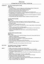 Web Developer Resume Template Beautiful Junior Web Developer Resume Medical Coder Resume Job Resume Examples Resume Examples
