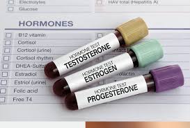 Image result for Estrogen Replacement