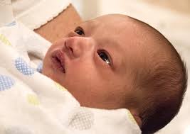 Calimesa Connections