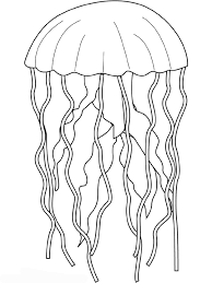 Quallen malvorlagen pdf ausmalbilder qualle image gallery. Jellyfish Coloring Pages Ideas Whitesbelfast Com