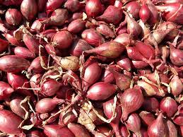 Image result for shallots