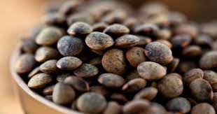 How To Grow Lentils Grow This Pea Beans Farming System Lentils