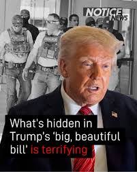 Dulce Kessler's Instagram, Twitter & Facebook