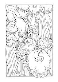 Click the button below to download and print this coloring sheet. Coloring Page Orchid Free Printable Coloring Pages Img 27752