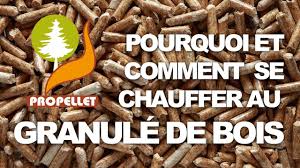 Firstlitiere granule de paille réf : Le Chauffage Aux Granules De Bois Pellets Propellet France Youtube