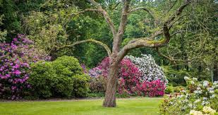 Informed rvers have rated 20 campgrounds near pensacola, florida. 25 Best Botanical Gardens To Visit On A Romantic Weekend Getaway