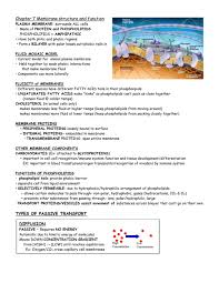 Check spelling or type a new query. Chapter 7 Membrane Structure And Function
