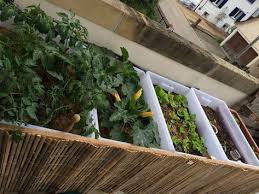 Ikea Hackers Samla Hochbeet Ikea Garten Garten Hochbeet Hochbeet