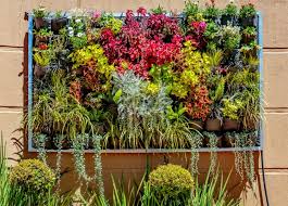 Vertical Garden Coleus Fuscia Asparagus Homepage Vertical Garden Diy Vertical Garden Vertical Garden Design
