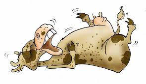 Résultat de recherche d'images pour "CARICATURES PAPAS-VACHES"