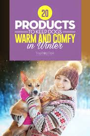 How do wild birds keep warm in winter? 20 Things To Keep Dogs Warm In Winter Indoors And Outdoors