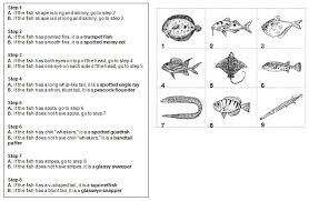 A dichotomous key is a series statements consisting of 2 choices that describe characteristics of the unidentified organism. Untitled Document
