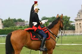 Devenir Cavalier De La Garde Republicaine A Cheval 2021