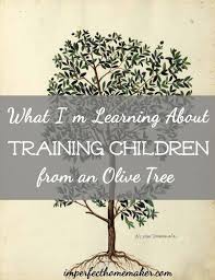 What I M Learning About Training Children From An Olive Tree Imperfect Homemaker Biblical Parenting Christian Parenting Christian Motherhood