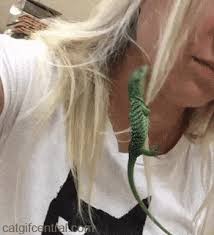 Wild thing, i think i love you. Wild Thing You Make My Heart Sing Gify