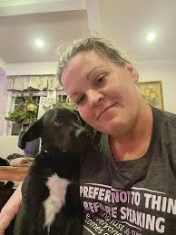 Introduction with great dane photos