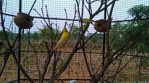 Sunukpahari eco park bankura : Amader Bankura Sunukpahari Eco Park Pic By Amrita Barat Facebook