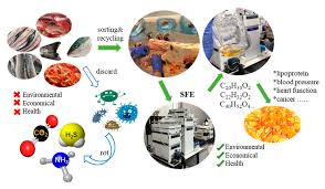 Adaugă acest produs la lista mea de favorite. Processes Free Full Text The Application Of Supercritical Fluids Technology To Recover Healthy Valuable Compounds From Marine And Agricultural Food Processing By Products A Review Html