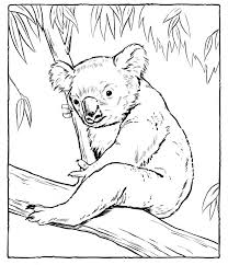 Tom hanks (films, shorts, and specials); Free Printable Koala Coloring Pages For Kids Animal Drawings Bear Coloring Pages Animal Coloring Pages
