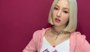 Spycam photos online of K-pop's Nancy, Momoland singer, undressing prompt  legal action