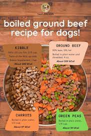 Boiled Ground Beef For Dogs Recipe With Carrots And Peas Foods Dogs Can Eat Raw Dog Food Recipes Healthy Dog Food Recipes