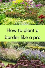 How To Plant A Border Like A Pro The Middle Sized Garden In 2020 Garden Border Plants Plants Planting Plan