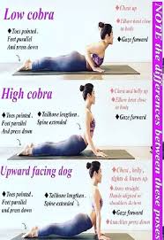 Amazing Benefits Of Cobra And Upward Dog Yoga Pose Yogallai Yoga Benefits Easy Yoga Workouts Ashtanga Yoga