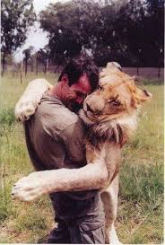 Image result for animal human love