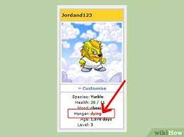 How To Take Care Of Your Neopet: 5 Steps (With Pictures) - Wikihow Fun