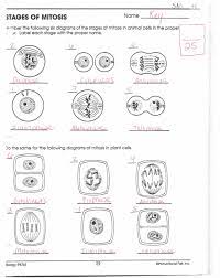 #mitosis versus meiosis worksheet #snurfle meiosis worksheet answers key #stages of. Mitosis Worksheet And Diagram Identification Answer Key Worksheets Mitosis Matter Science Experiments Biology Worksheet