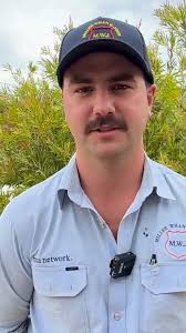 We saw a clear premium for the genuine complete-drop heifers