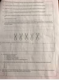For more on cell cycle you can. G A Haploid Cel Contains 21 Chromosomes How Many Chegg Com