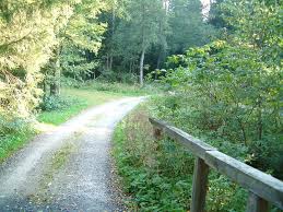 Die speisekarte des bayreuther haus der kategorie deutsche aus mehlmeisel, waldhausstraße 99 können sie hier einsehen oder hinzufügen. Mountainbike Ahornberg Rotenfels Bayreuther Haus Ahornberg Tour 23137