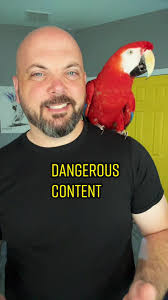 stitch with @aniyah This was hard to see, but worth discussing. #parr...