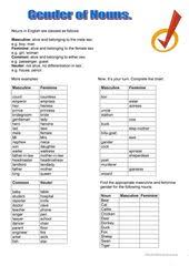 Gender Of Nouns Nouns Worksheet Nouns Gender