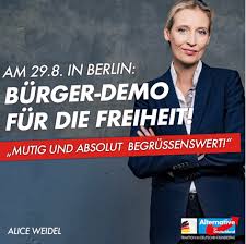 I, the copyright holder of this work, hereby publish it under the following license: Corona Demo 29 08 Die Gesamte Rechtsextreme Szene Mobilisiert Afd Npd Co Volksverpetzer