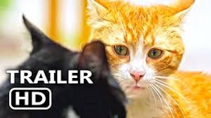 Kedi Official Trailer Clip 2017 Cats Documentary Movie Hd