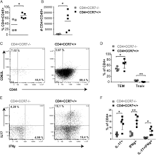 In order to evaluate the influence of ccr7 on cxcr4 function, we first tested the expression and functional response of the two receptors. Ccr7 On Cd4 T Cells Plays A Crucial Role In The Induction Of Experimental Autoimmune Encephalomyelitis The Journal Of Immunology