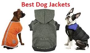 Top 15 Best Dog Jackets In 2019 Complete Guide