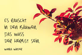Herbst Gedichte Und Sprüche