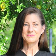 Building a Trauma-Informed Child Welfare System: A Blueprint