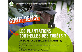 Business development and not for profits. Conference Avec Francis Halle Du 10 Avril 2020 Sur La Foret Versus Plantation D Arbresarbre Patrimoine Conseils En Arboriculture Ornementale Et Gestion Des Arbres Foresterie Urbaine
